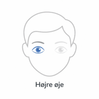 Focus Dailies - højre