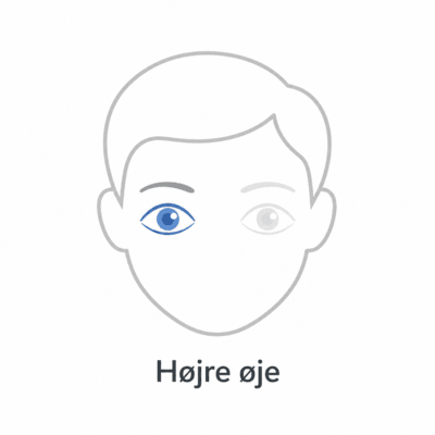 Focus Dailies - højre